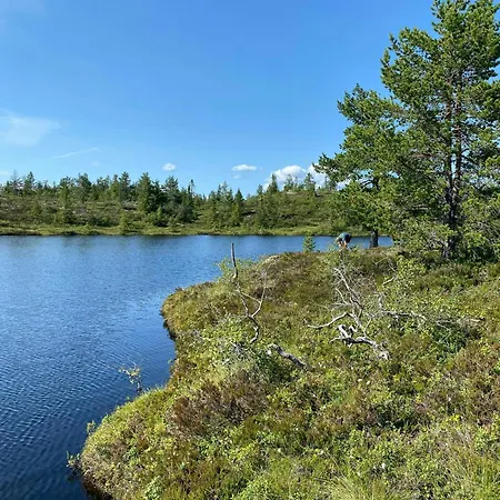 Mountain With Sauna At Blefjell Lampeland