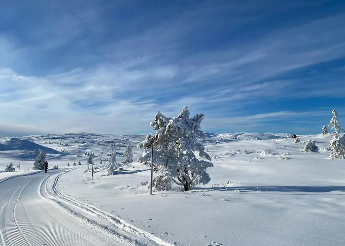 بيت للعطل Mountain With Sauna At Blefjell *