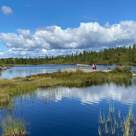 Mountain With Sauna At Blefjell 度假居 兰帕兰德