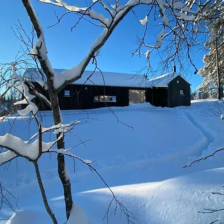 Mountain With Sauna At Blefjell 度假居 兰帕兰德